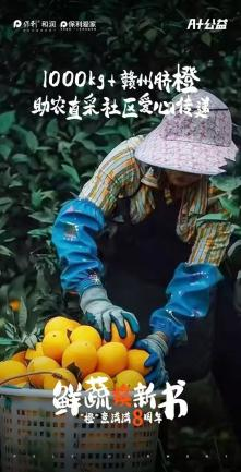 图片5